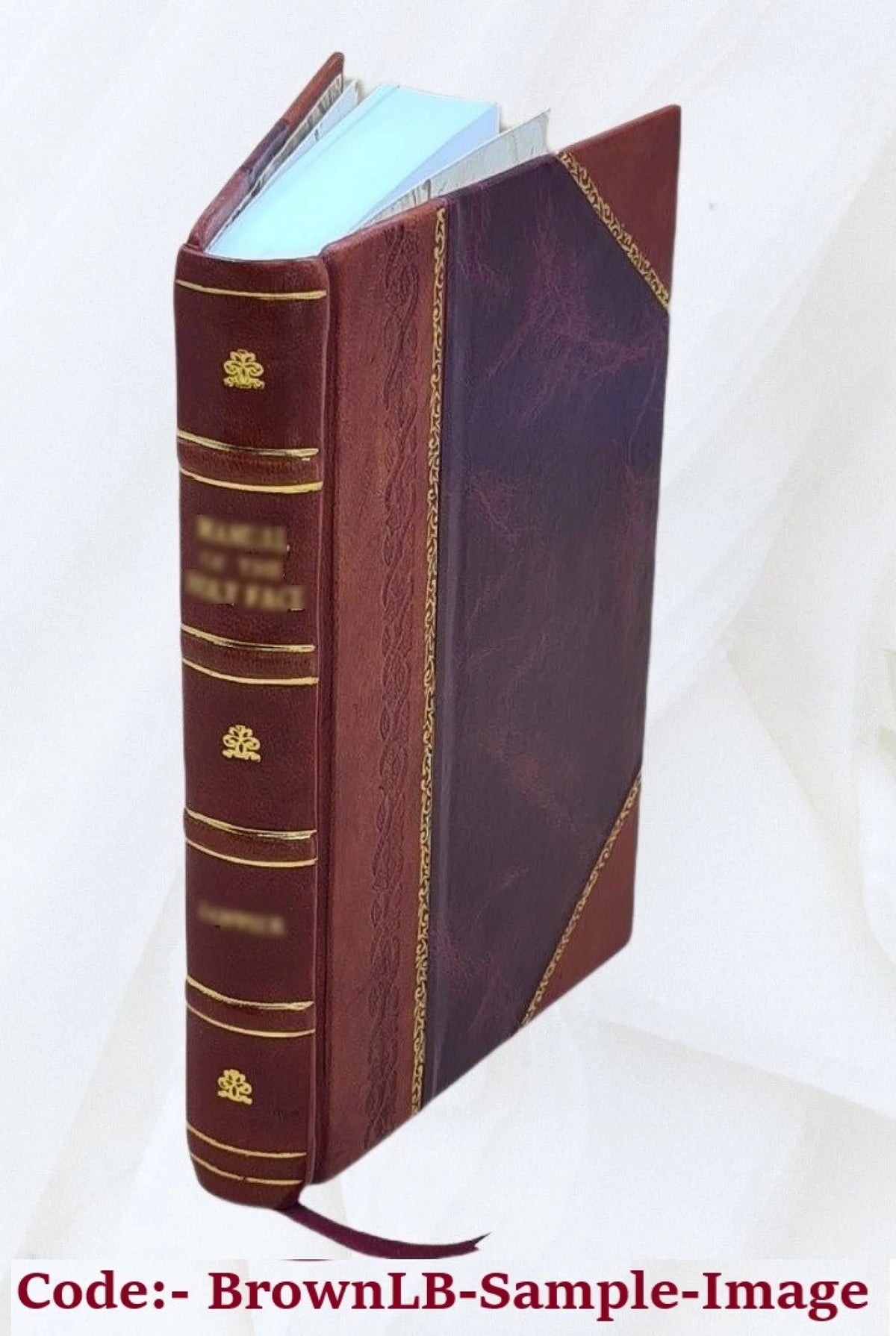 Good Old Times, or Grandfathers Struggles for a Homestead, 1878 Leather-Bound Book
