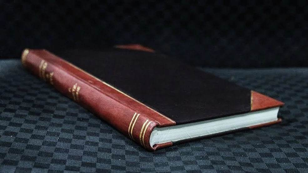 The Strong Hand by Warwick Deeping, 1912 Leatherbound Edition with Color Frontispiece by A.C. Michael