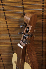 Roosebeck Grace Mountain 4-String Dulcimer with Vaulted Spruce Top and Walnut Finish