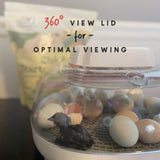 Manna Pro Harris Farms Nurture Right Egg Incubator with 360 Degree View for Hatching Chicks