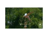 Good Directions Hummingbird Weathervane with Flowers, Finished in Polished Copper