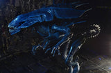 NECA Aliens Ultra Deluxe Xenomorph Queen Action Figure in Collector Box