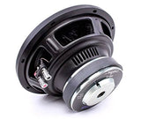 Skar Audio IX-10 D2 10-Inch Car Subwoofer with Dual 2-Ohm Voice Coils, 400W Max Power