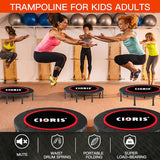 Trampoline Designed for Kids and Adults