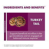 Host Defense Turkey Tail Mushroom Capsules, Unflavored Supplement for Natural Immune System and Digestive Support, 60 Count