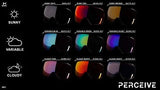 Anon M2 Replacement Lens for Men’s Goggles, Perceive Variable Green