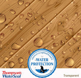 Thompsons WaterSeal Transparent Waterproofing Wood Stain and Sealer, Harvest Gold, 1 Gallon