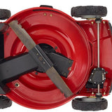 Toro Recycler 22-Inch Self-Propelled Mower with All-Wheel Drive, Personal Pace Variable Speed and Briggs & Stratton Engine