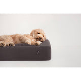 Tuft & Needle Large Dog Bed in Charcoal