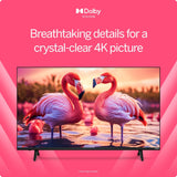 VIZIO 50-Inch 4K HDR Smart TV with Dolby Vision, HDR10+, WiFi 6 ?C, Renewed