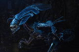 NECA Aliens Ultra Deluxe Xenomorph Queen Action Figure in Collector Box