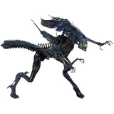 NECA Aliens Ultra Deluxe Xenomorph Queen Action Figure in Collector Box