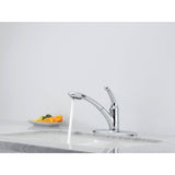 Delta Signature 470-WE-DST Single-Handle Pull-Out Kitchen Faucet in Chrome