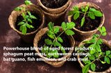 FoxFarm Ocean Forest Potting Soil Mix, 12 Quarts in a 4-Pack, for Indoor & Outdoor Gardens and Plants, with The Hydroponic City Stake